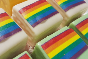 Regenboogloper: Haarlem staat voor diversiteit